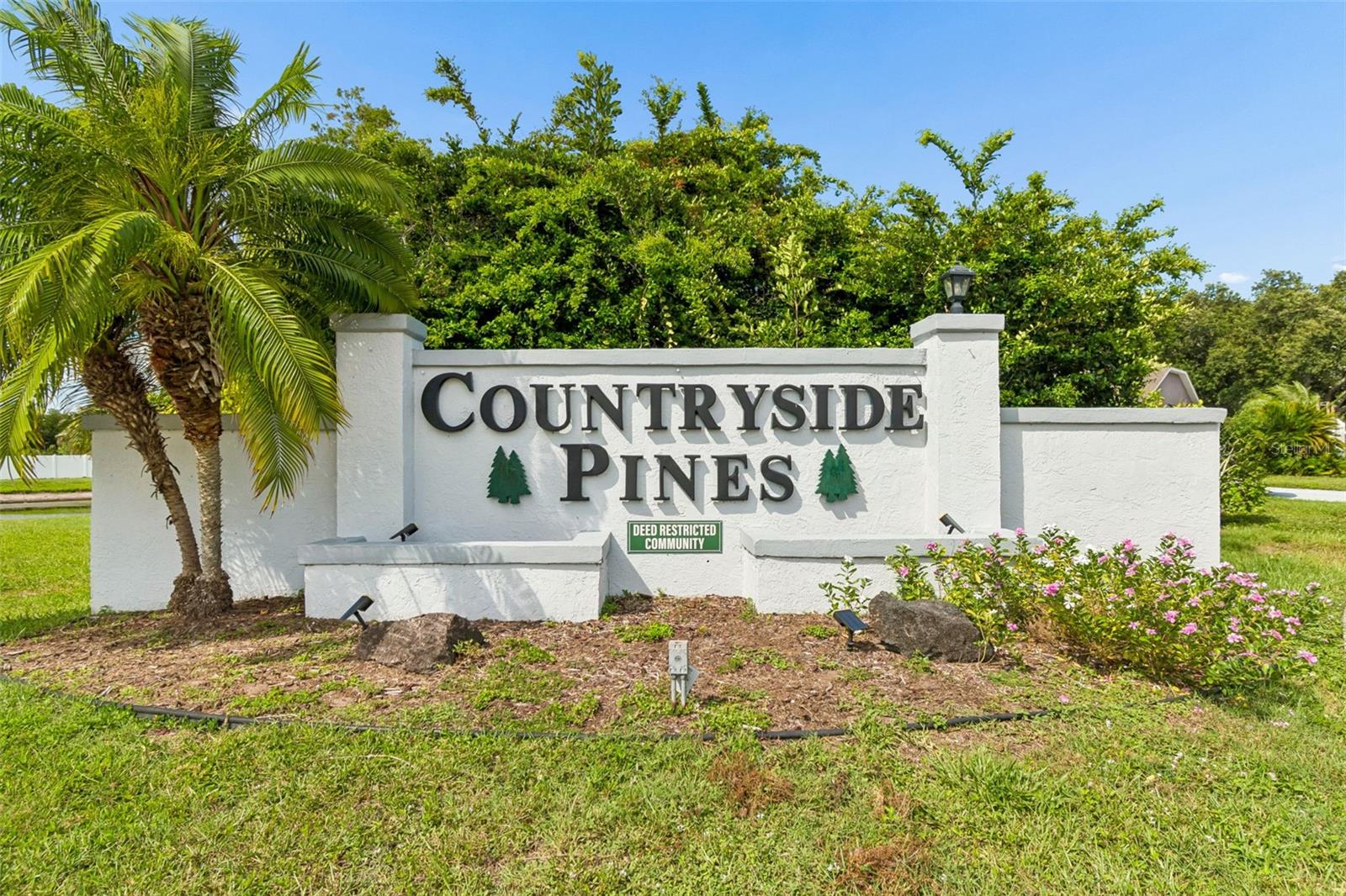 COUNTRYSIDE PINES - Residential
