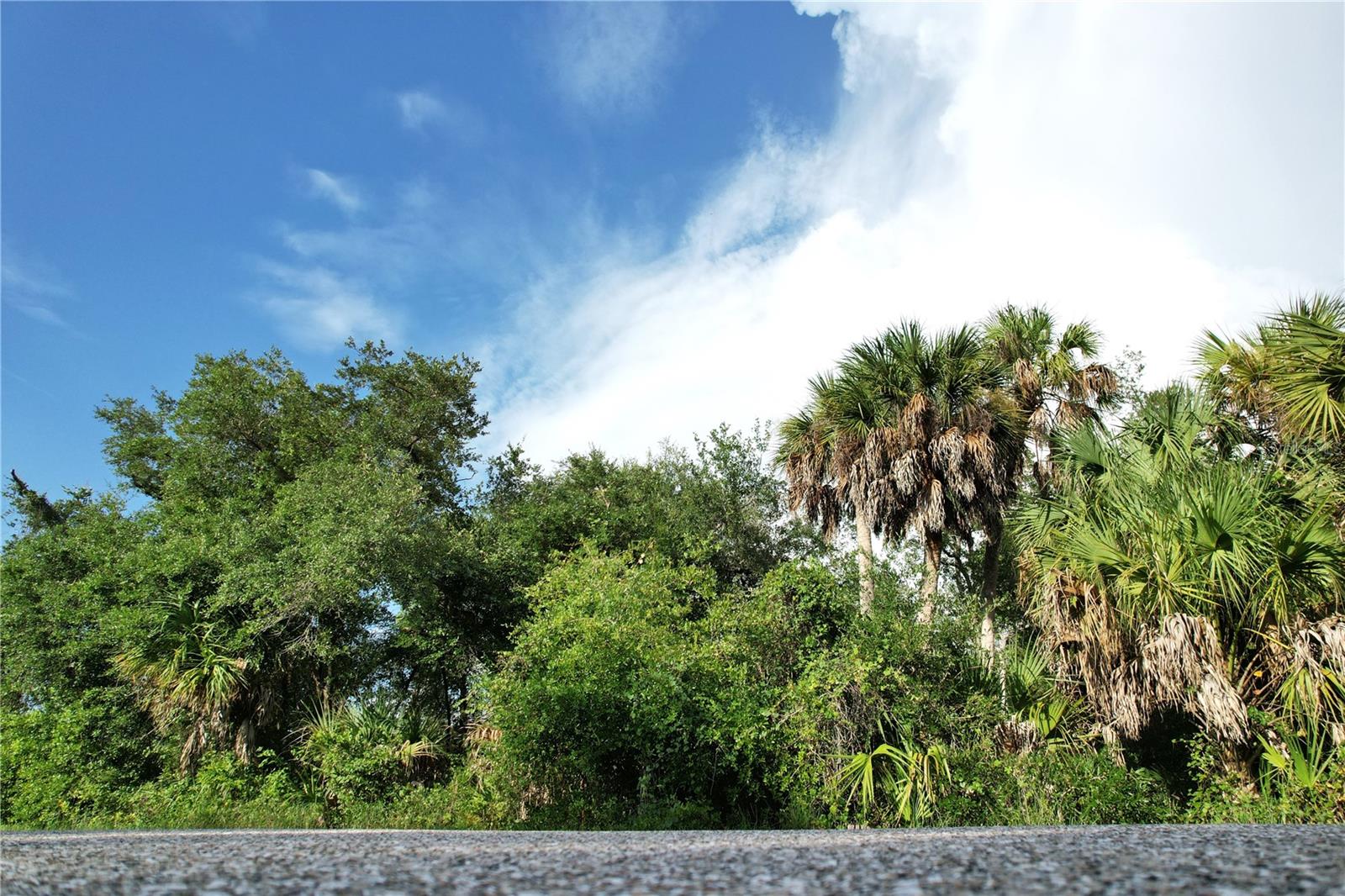 PORT CHARLOTTE SEC 046 - Land