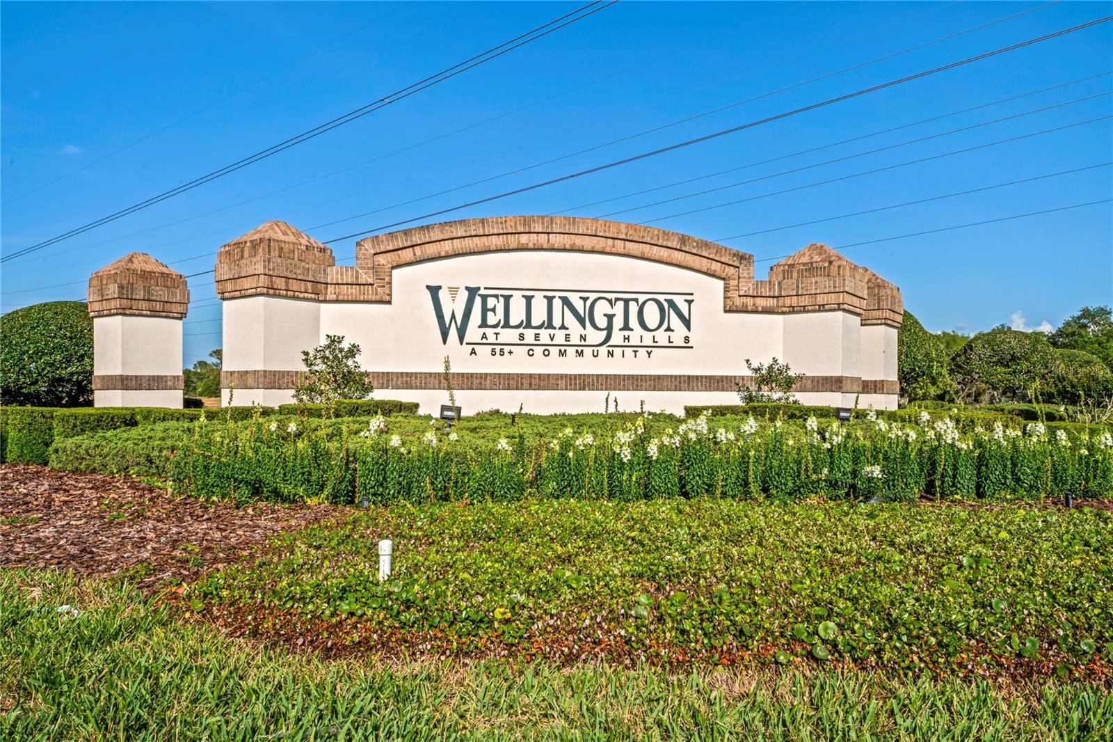 WELLINGTON AT SEVEN HILLS PH 3 - Residential