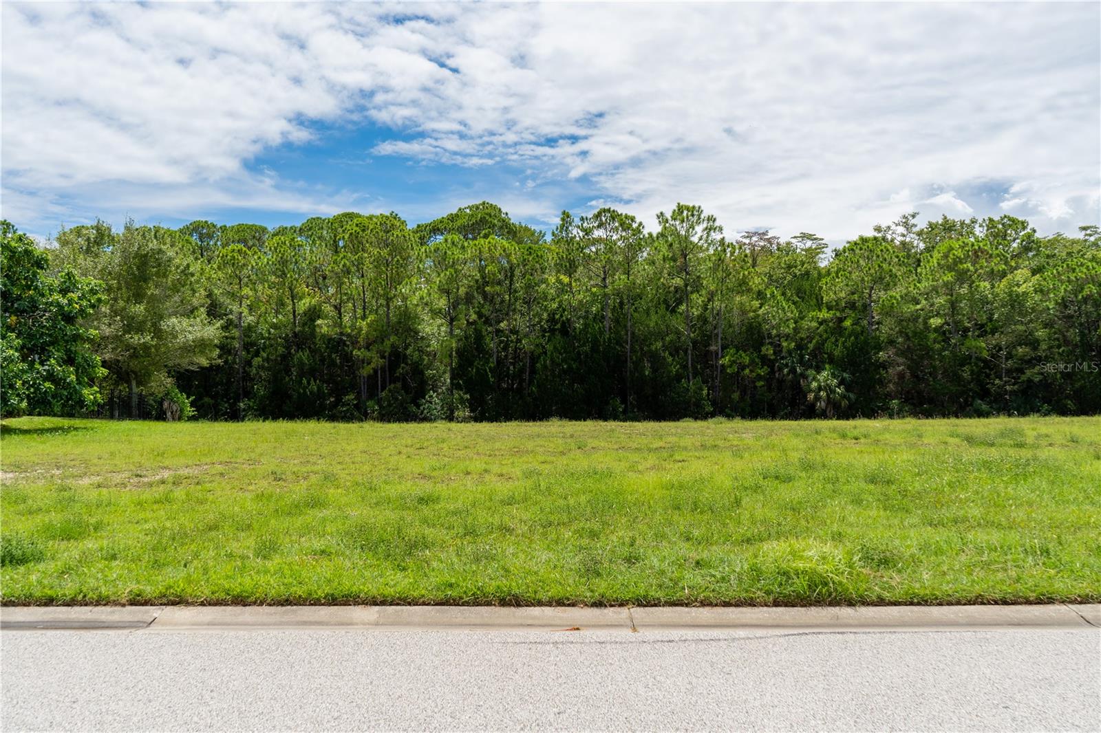 HERNANDO BEACH - Residential