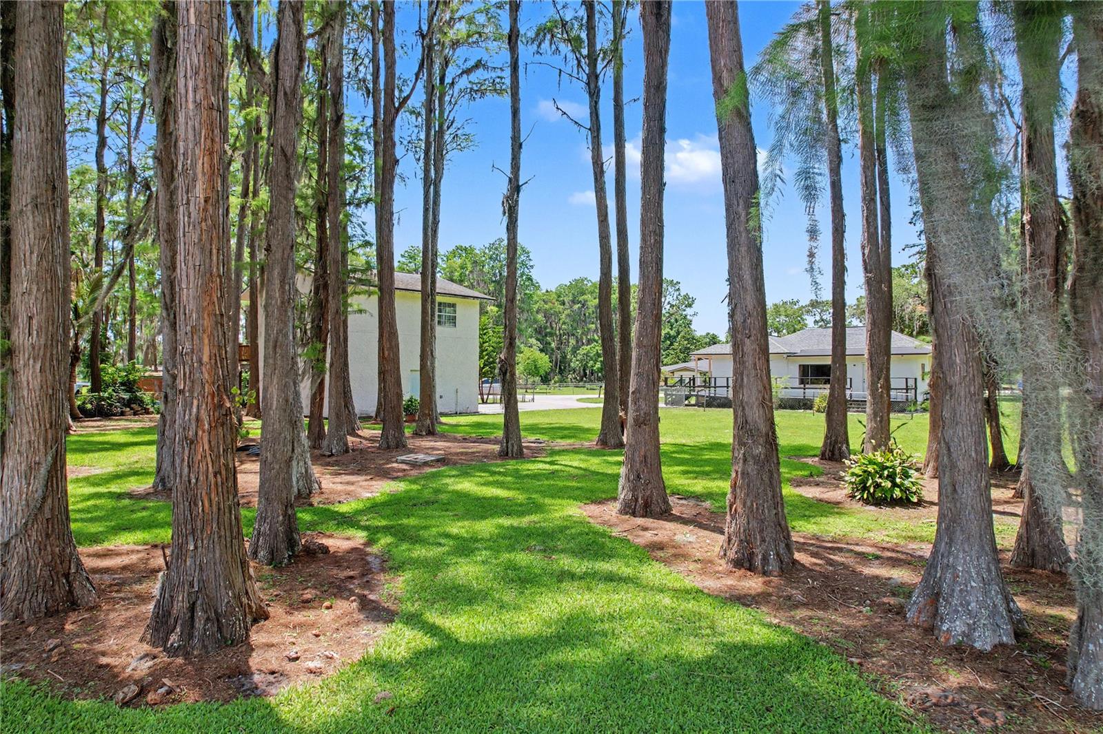 TRIPLE LAKE SHORES - Residential