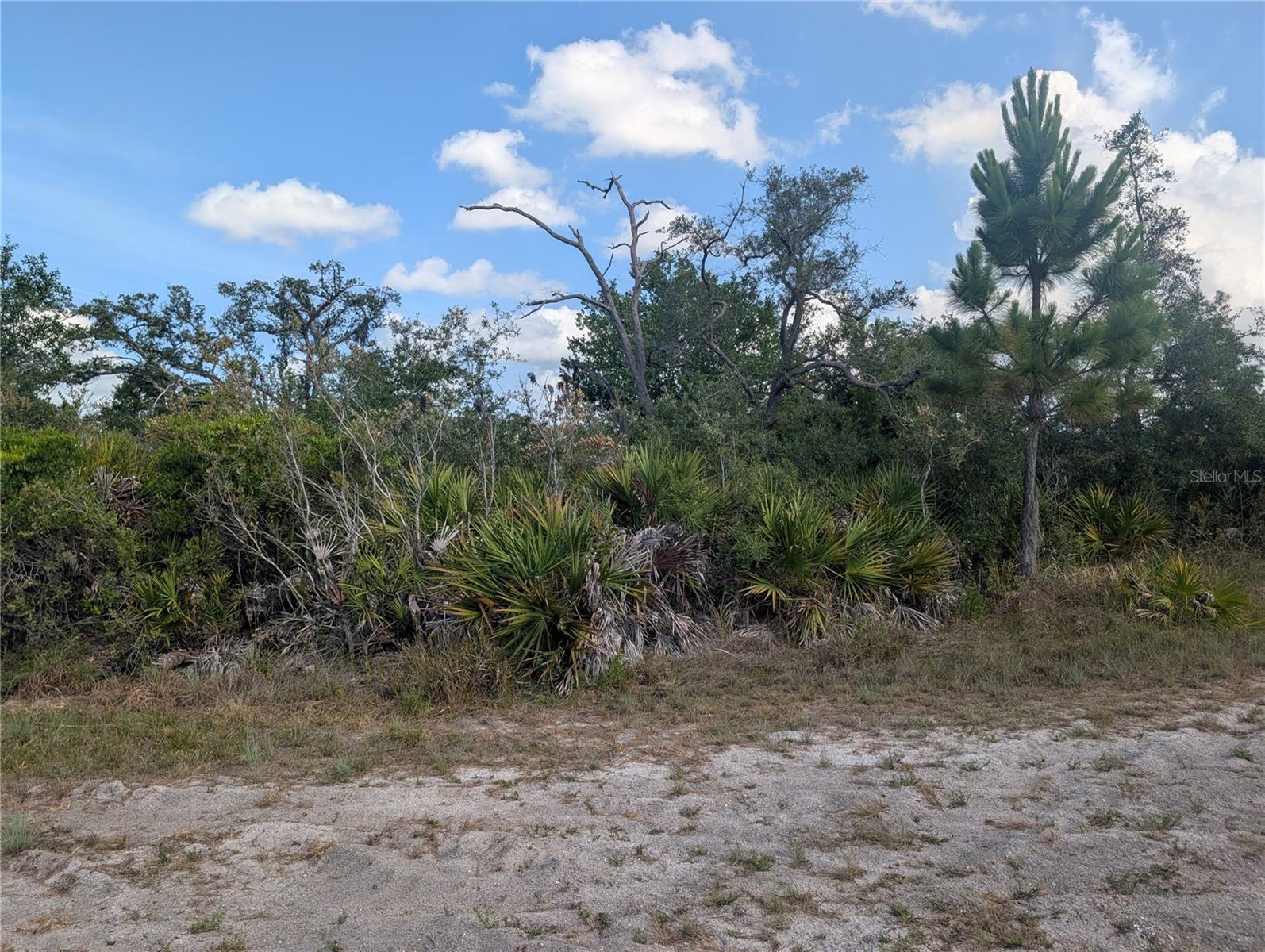 INDIAN LAKE ESTATES - Land