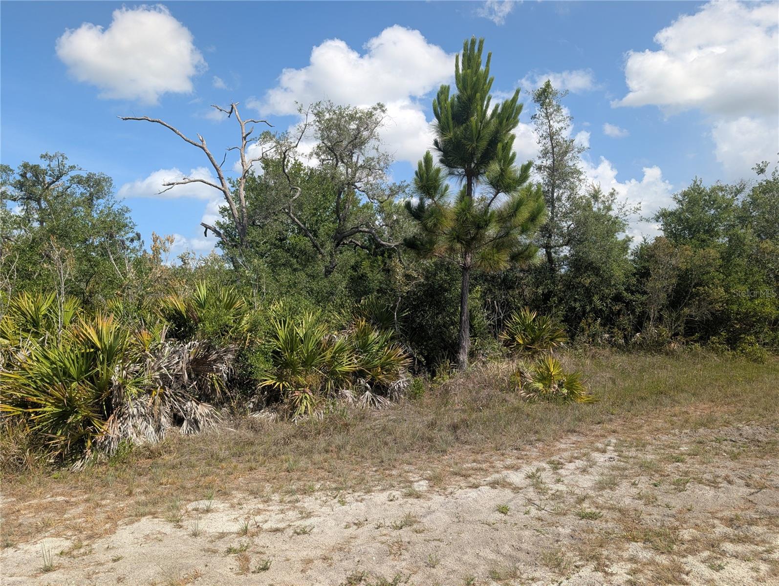 INDIAN LAKE ESTATES - Land