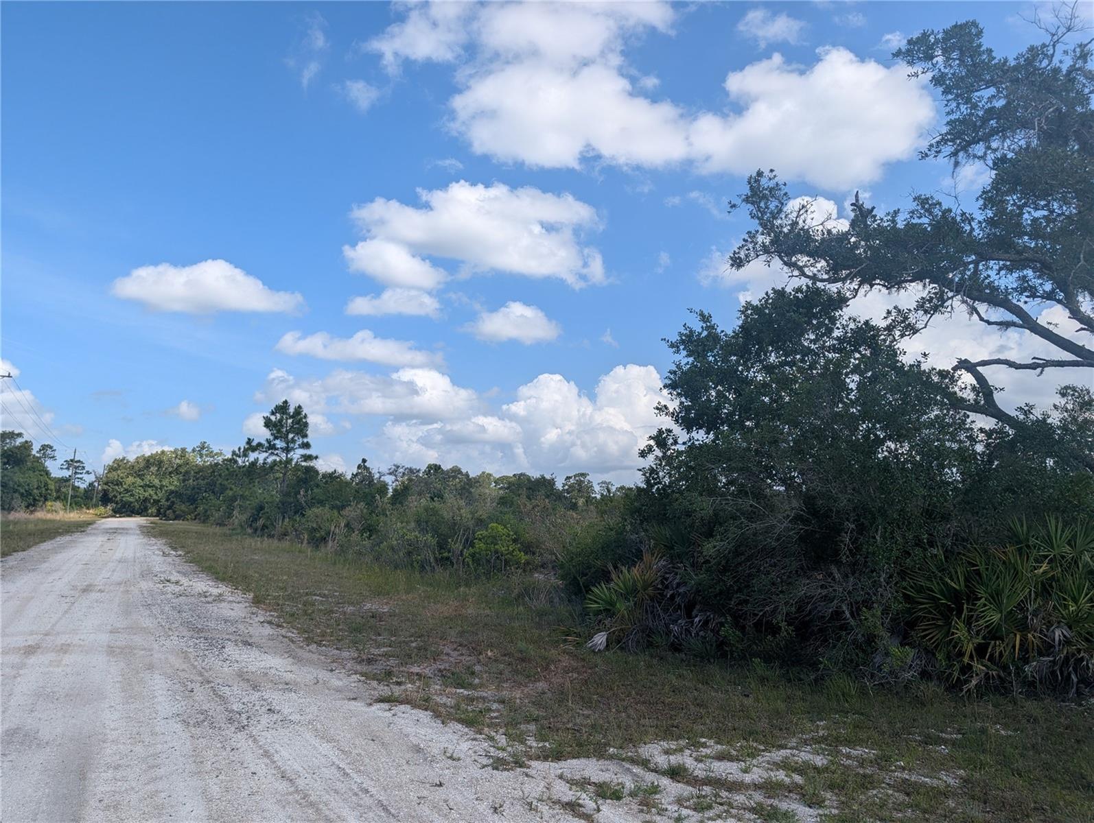 INDIAN LAKE ESTATES - Land