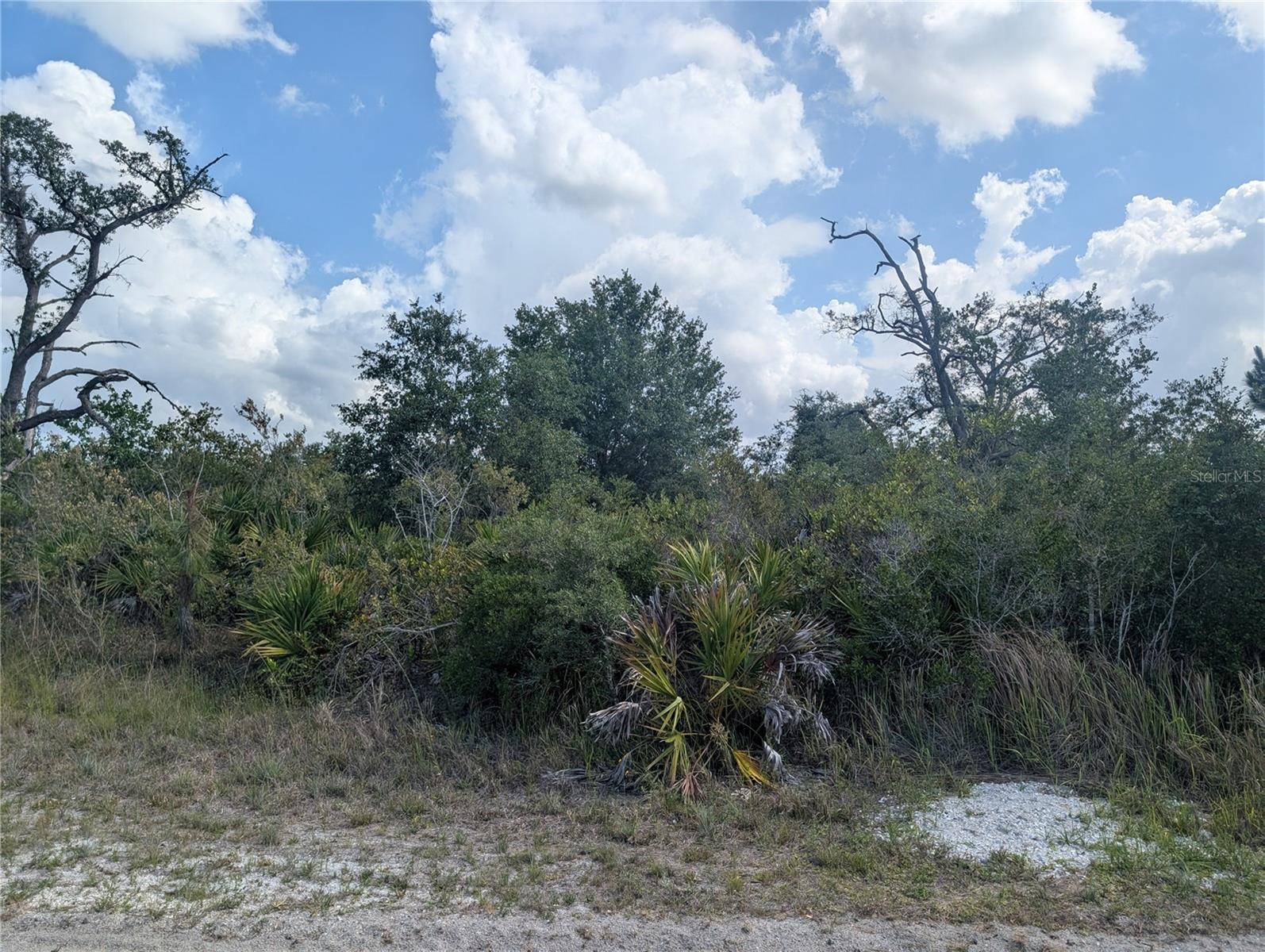 INDIAN LAKE ESTATES - Land