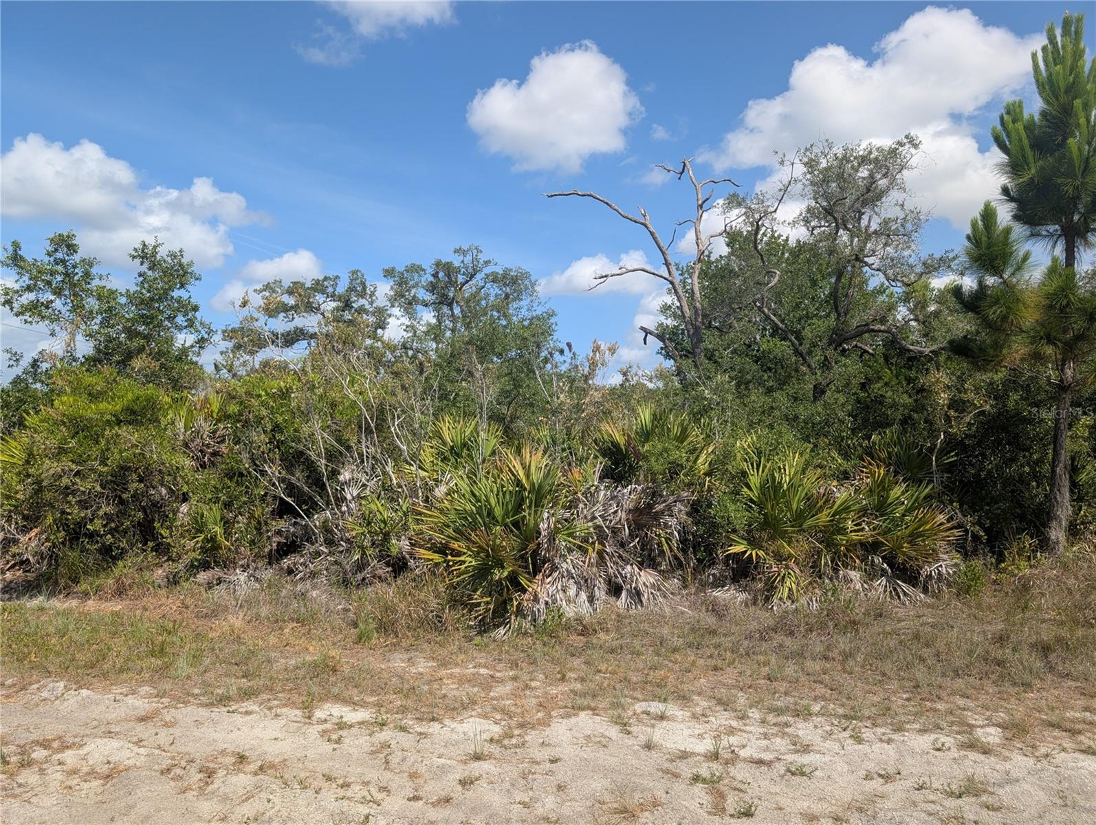 Come and create the Multi-Family home of your dreams on this stunning half-acre corner lot nestled in the vibrant lake community of Indian Lake Estates! This fantastic fishing, golfing, and boating oasis right in the heart of Florida is just waiting for you, You’ll be just minutes away from casting your line on beautiful Lake Walk in Water. Located about 20 miles east of Lake Wales, this community is built around the magnificent 7,500-acre Lake Walk In Water, renowned for its exceptional fishing and hailed as one of the top bass fishing lakes in Florida. With amenities like a sandy beach, a convenient boat ramp, a marina, and the longest freshwater fishing pier in the state, you’ll have everything you need right at your fingertips! The pier even features a charming pavilion complete with propane grills and covered picnic tables, perfect for days spent relaxing by the water. But that’s just the beginning! The community also boasts an impressive 18-hole golf course, basketball and tennis courts, and a sprawling 23,000 sq. ft. clubhouse that includes a café, post office, churches, library, fitness room, and pro shop. If you’re a nature enthusiast, you’re in for a treat—wildlife abounds! You’ll often spot deer, raccoons, turkeys, turtles, and a variety of beautiful birds. And let’s not forget about the incredible location! Orlando and Disney are just about an hour’s drive to the north, while Tampa, Busch Gardens, and the breathtaking Gulf beaches are just over an hour to the west. Plus, the iconic Bok Tower, a National Landmark, is nearby in Lake Wales. For thrills, the Westgate River Ranch Resort and Rodeo is only six miles away—experience the charm of an authentic Florida dude ranch with a full-service resort! Imagine horseback riding, wildlife airboat tours, swamp buggy adventures, and a spectacular Saturday night rodeo right at your doorstep! The sprawling 1,700 acres also feature a trap/skeet range, nature hikes, a petting farm, a marina, and even an Adventure Park with a zip line and rock climbing wall. With cowboy-themed accommodations ranging from lodge guestrooms to luxurious teepees, there’s something for everyone! Come out and discover how incredible life can be at Indian Lake Estates—Polk County's best-kept secret! You won’t want to miss out!
