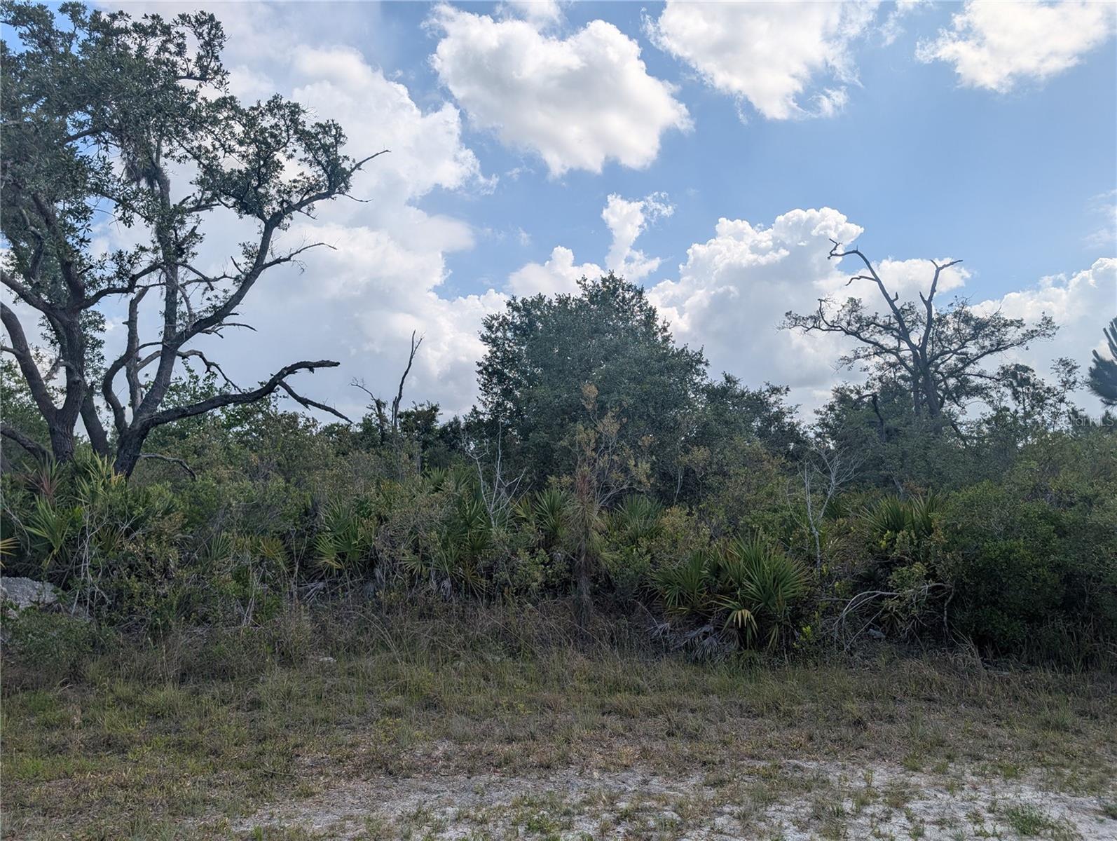 INDIAN LAKE ESTATES - Land