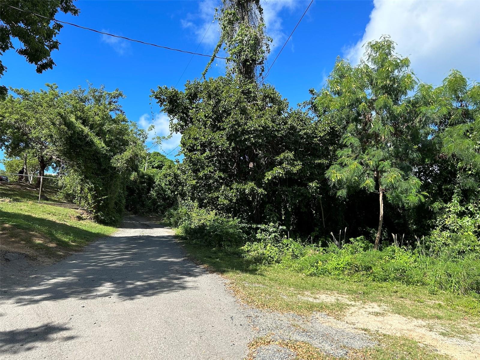 A great rural setting with ocean views! Residential Lot of approximately 3 acres is Titled and is zoned for Residential Use. Located on the higher side of this unique & sought after neighborhood.
