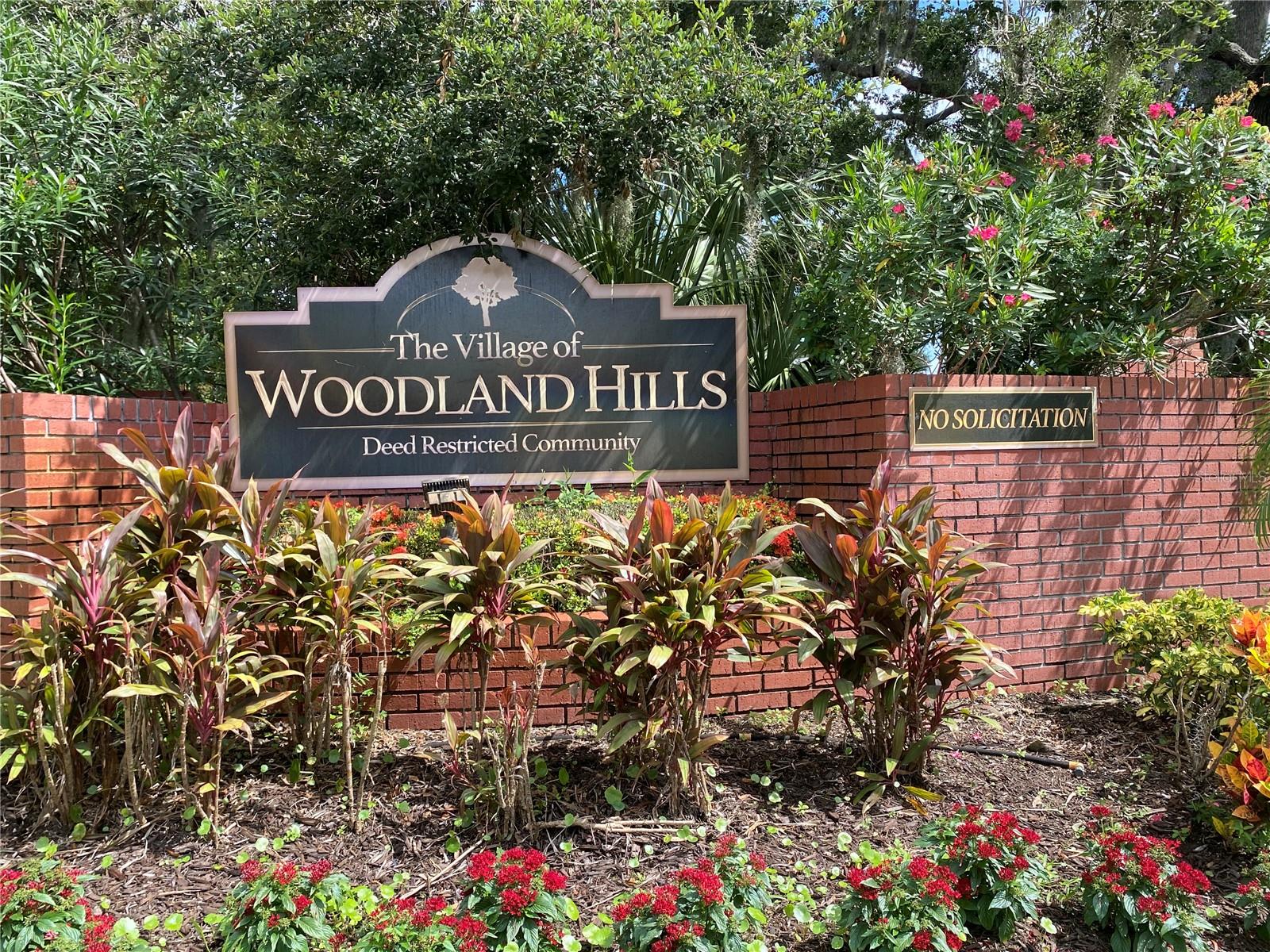 VILLAGE OF WOODLAND HILLS - Residential