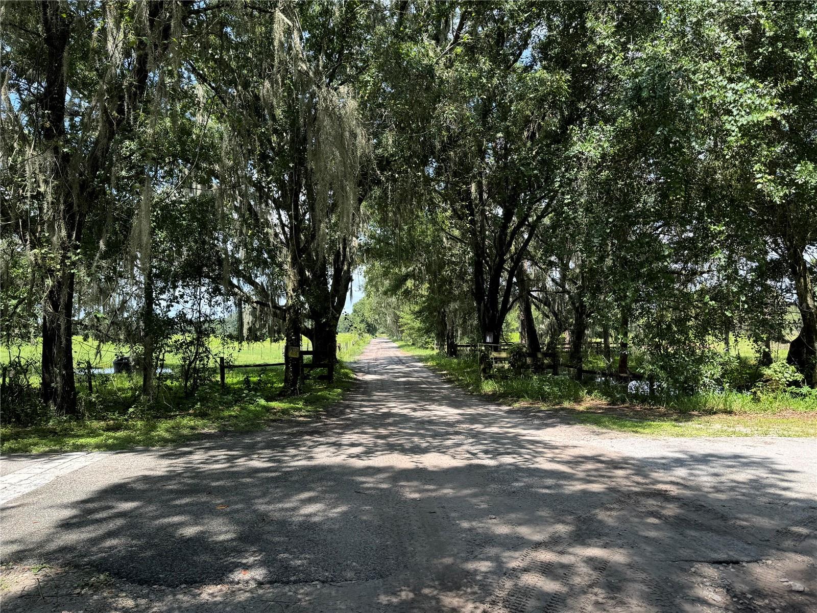 NOT IN SUBDIVISION - Residential