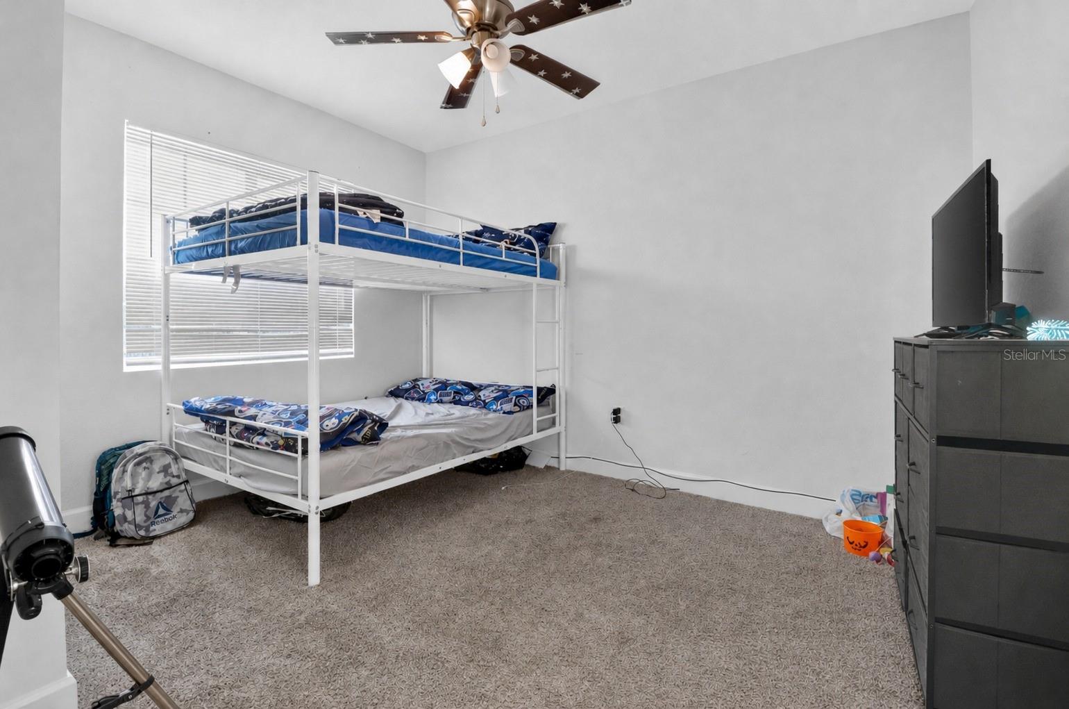 WASHINGTON PARK - Residential