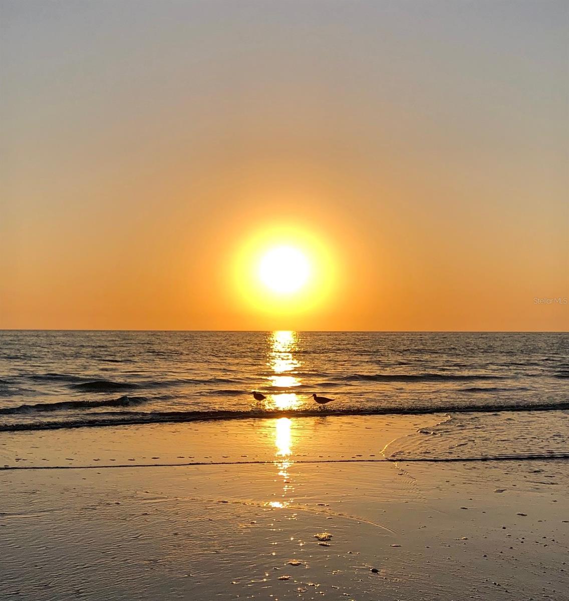 SURFSIDE TOWER CONDO - Residential