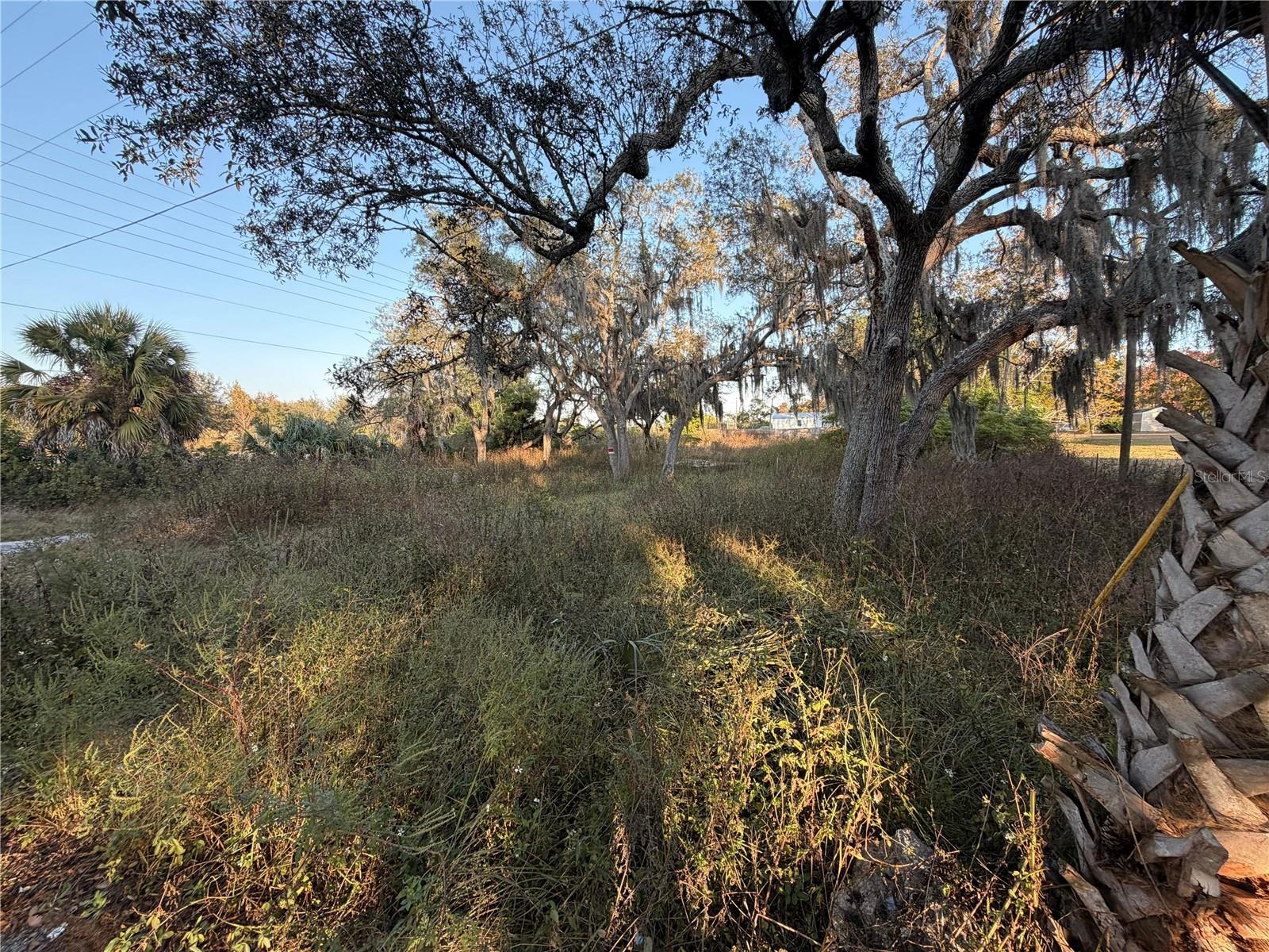 PARKWOOD ACRES - Land
