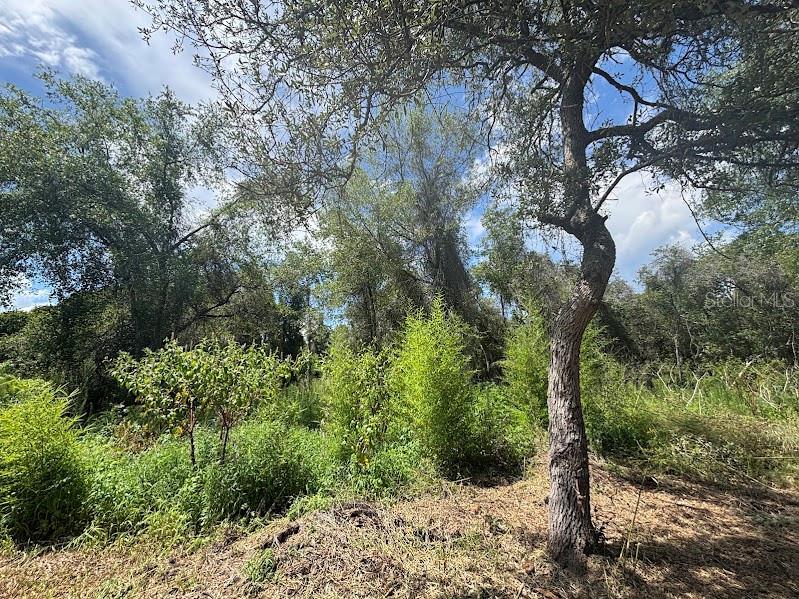 OCALA NATIONAL FOREST CAMPSITES - Residential