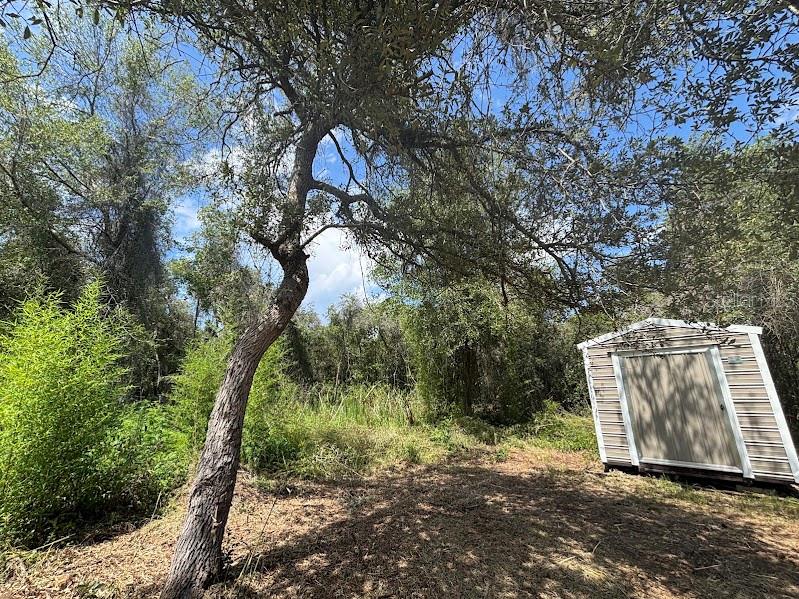 OCALA NATIONAL FOREST CAMPSITES - Residential