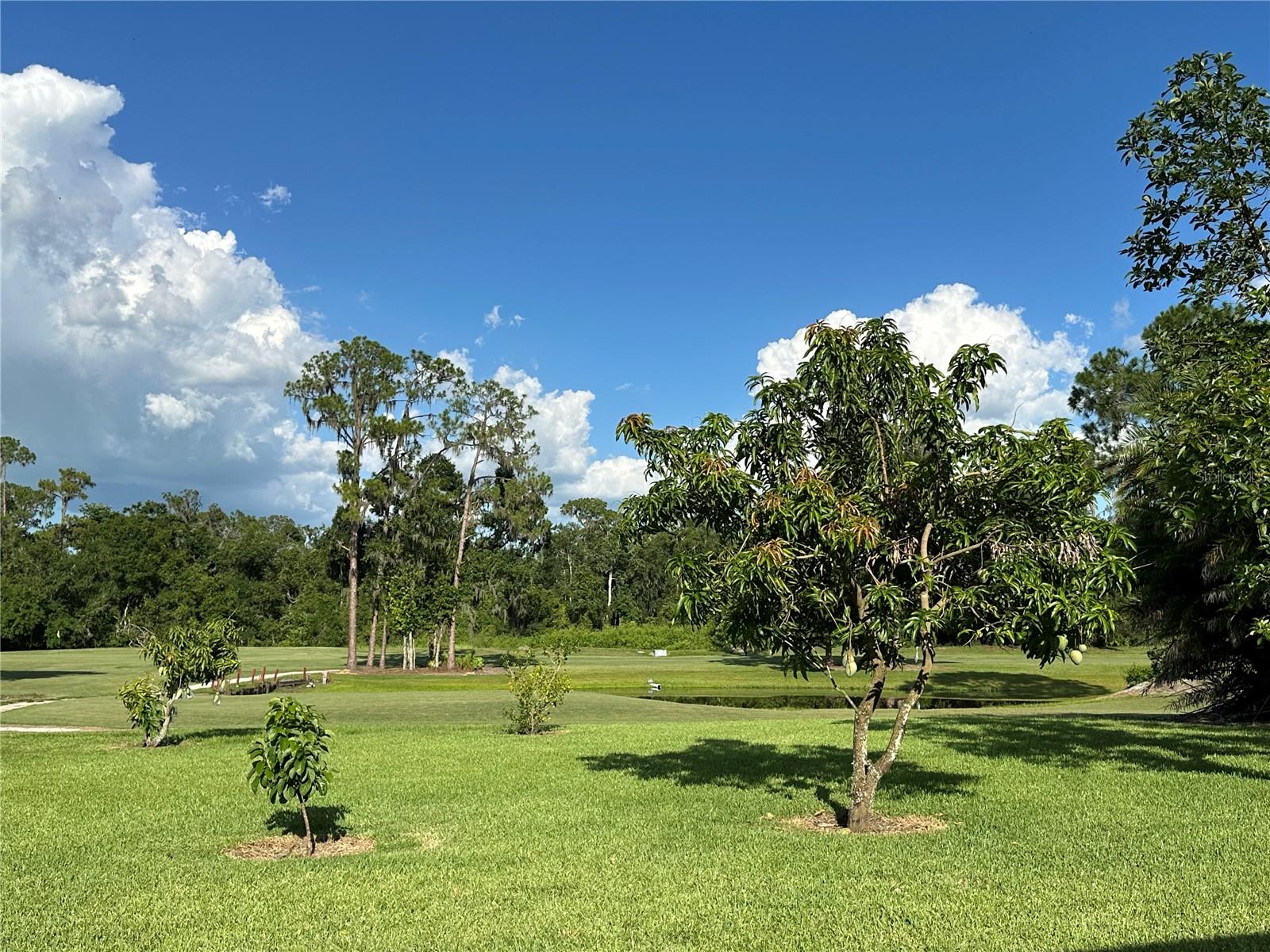 TORREY OAKS GOLF COURSE - Residential