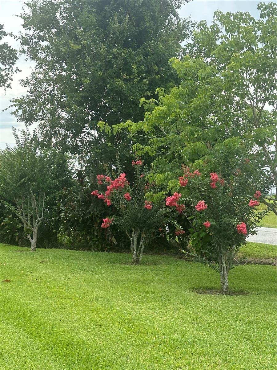 TORREY OAKS GOLF COURSE - Residential