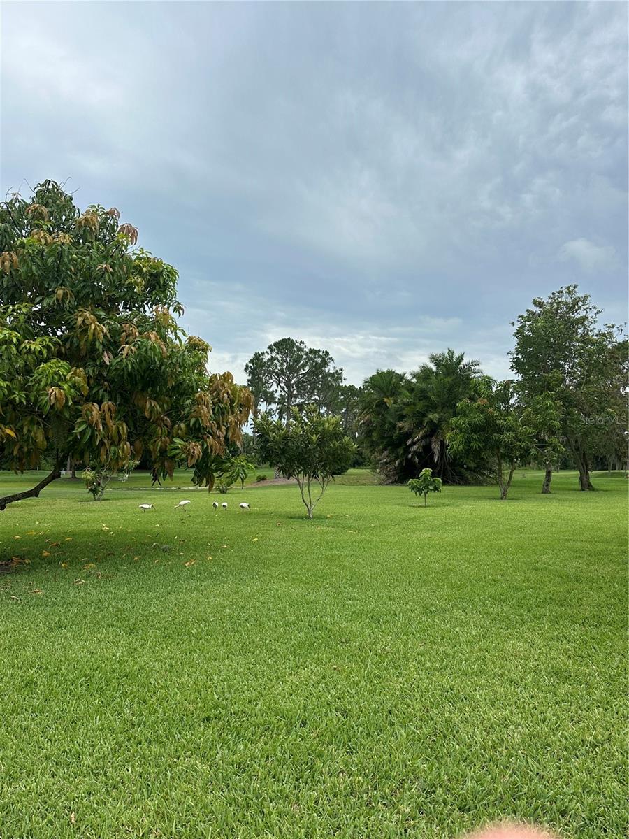 TORREY OAKS GOLF COURSE - Residential
