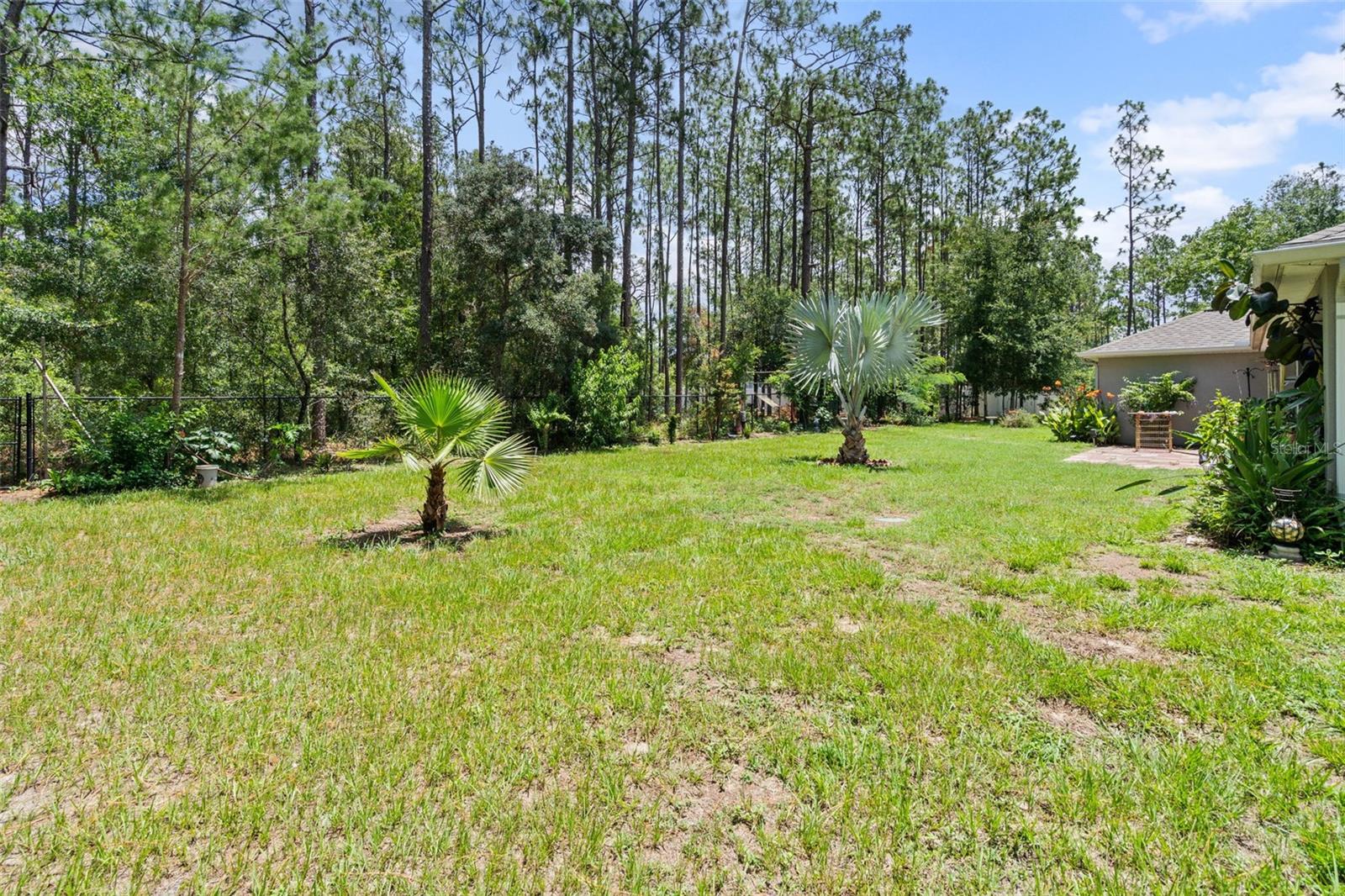 ROYAL PALM ESTATES REP - Residential