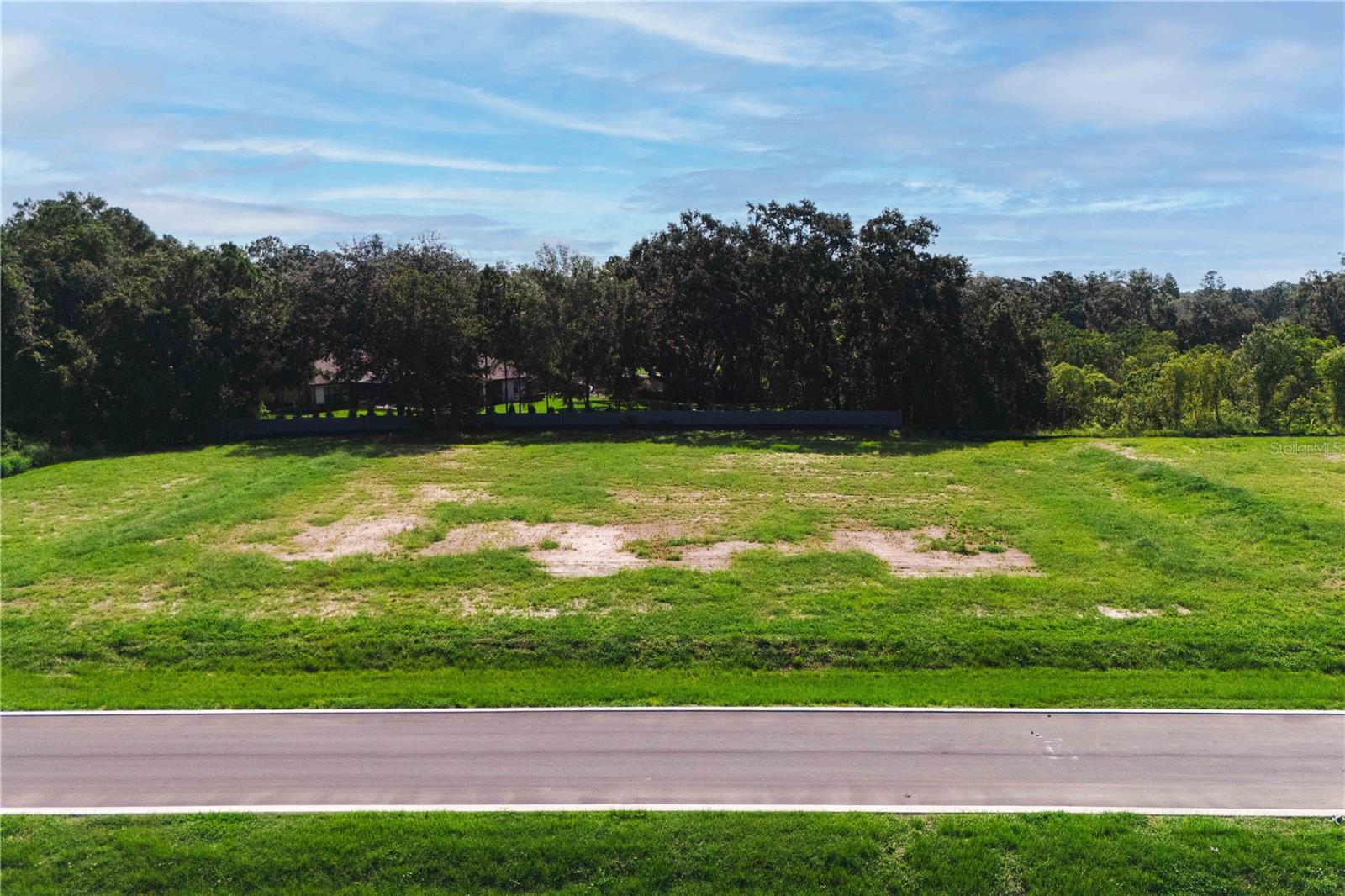 ODESSA PRESERVE - Land