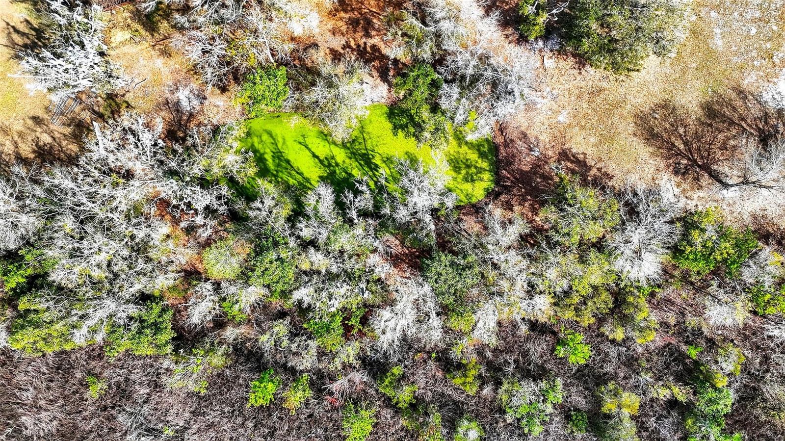 UNPLATTED - Land