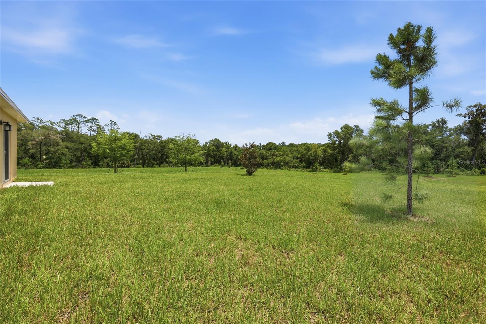 OAK HAMMOCK RESERVE - Residential