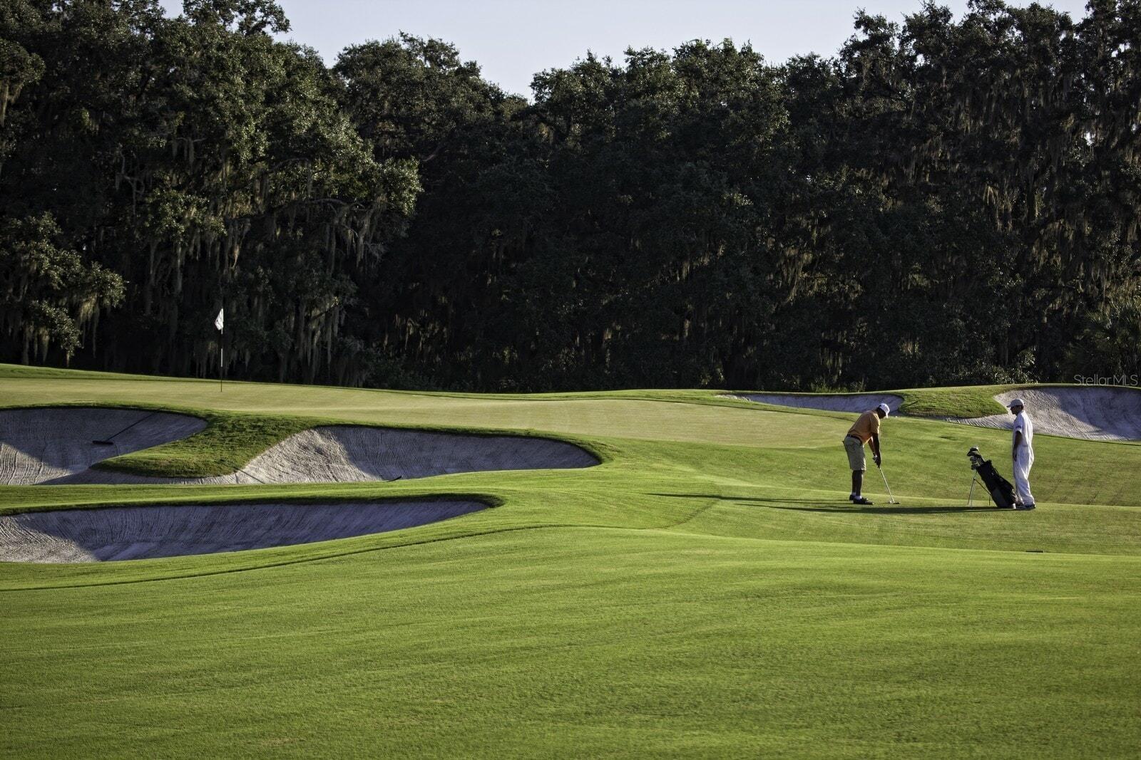 FOUNDERS CLUB - Residential