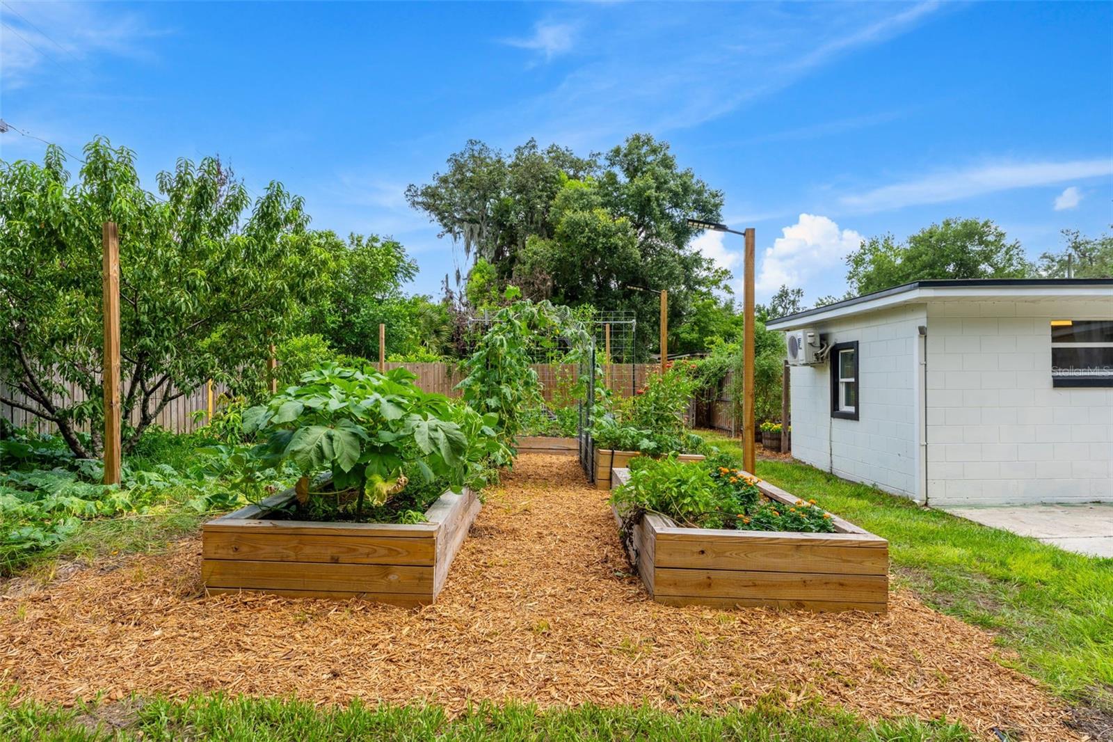 SHADY OAKS - Residential