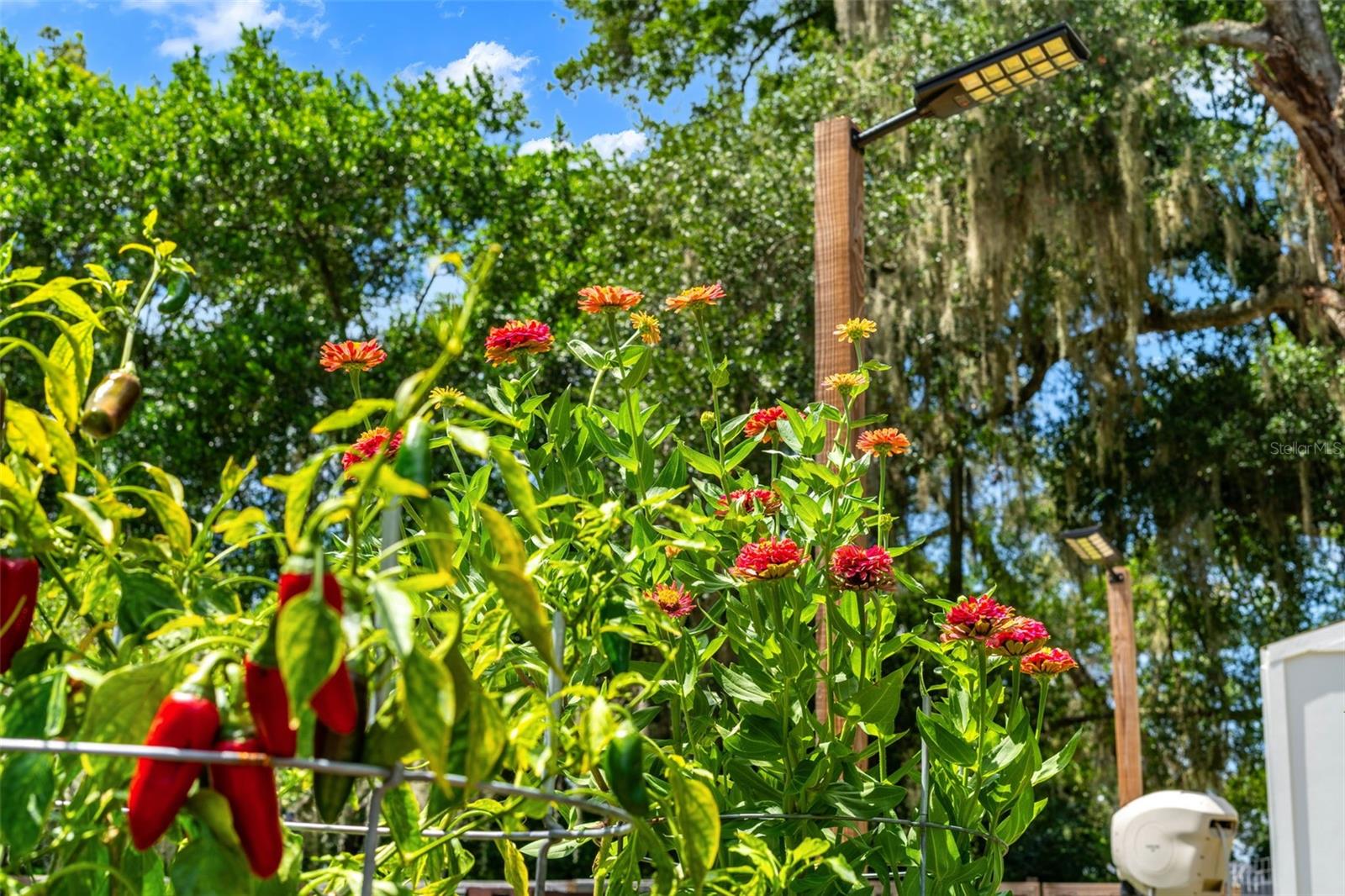 SHADY OAKS - Residential