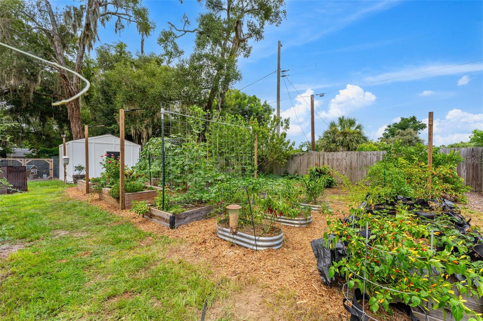 SHADY OAKS - Residential