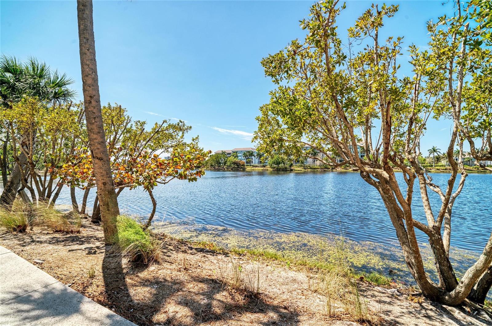 MANGROVE WALK ON HARBOUR ISLE PH 5 - Residential