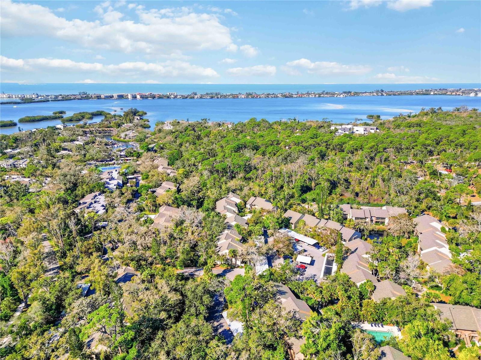 PELICAN COVE XVI - Residential Lease