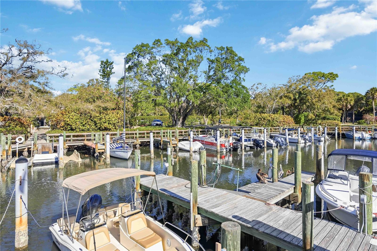 PELICAN COVE XVI - Residential Lease