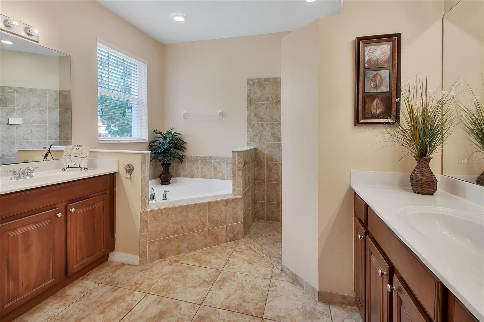 WOODS OF LAKE HELEN - Residential