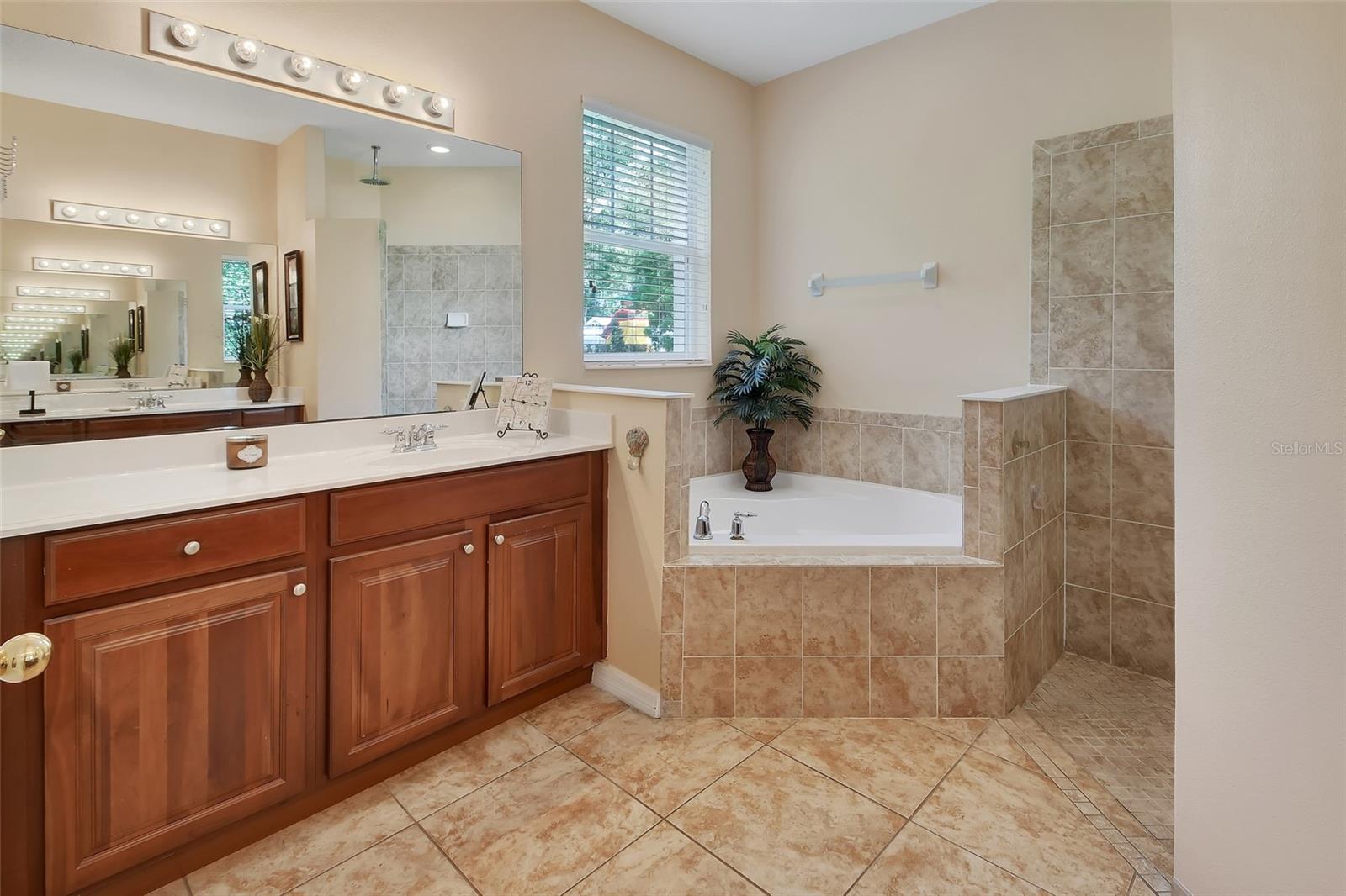WOODS OF LAKE HELEN - Residential