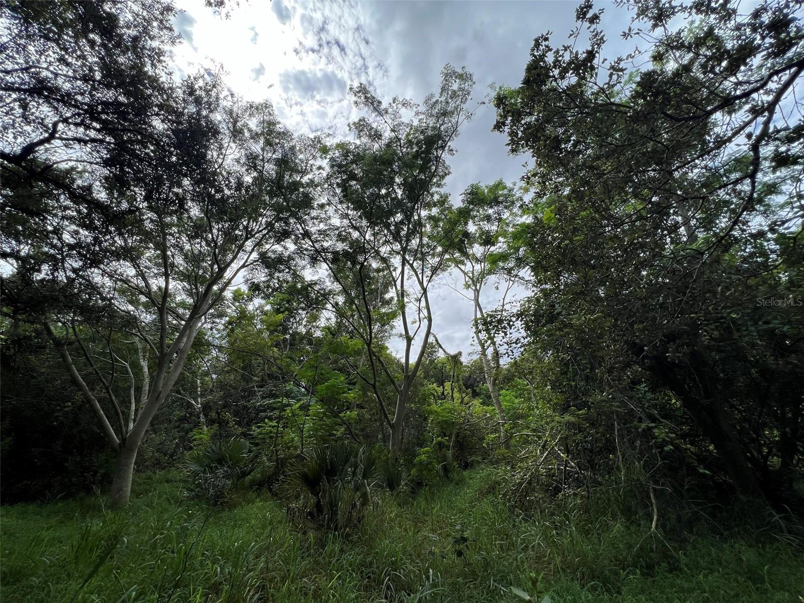 UNPLATTED - Land