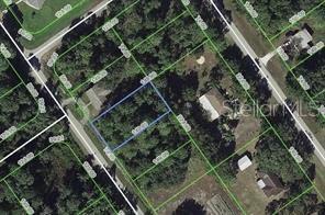 Build your dream home on this 75' x 100' wooded residential lot located on a paved road in the heart of Lake Placid. Zoned for single-family residential use with no HOA, this property offers the flexibility to build now or hold as an investment for the future. Conveniently located just minutes from Lake Istokpoga, known for its excellent fishing and boating opportunities, as well as shopping, dining, parks, and schools. A great opportunity to own a piece of Florida in a growing community.