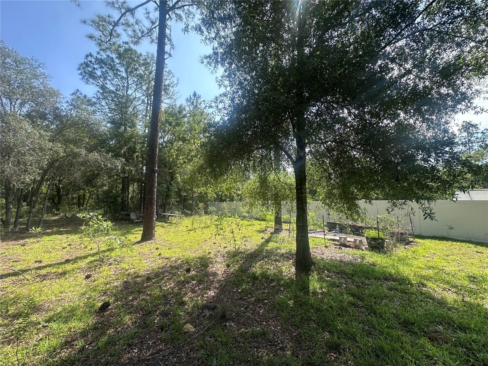 WILLISTON HYLNDS GOLF & C CLUB ESTATE - Land