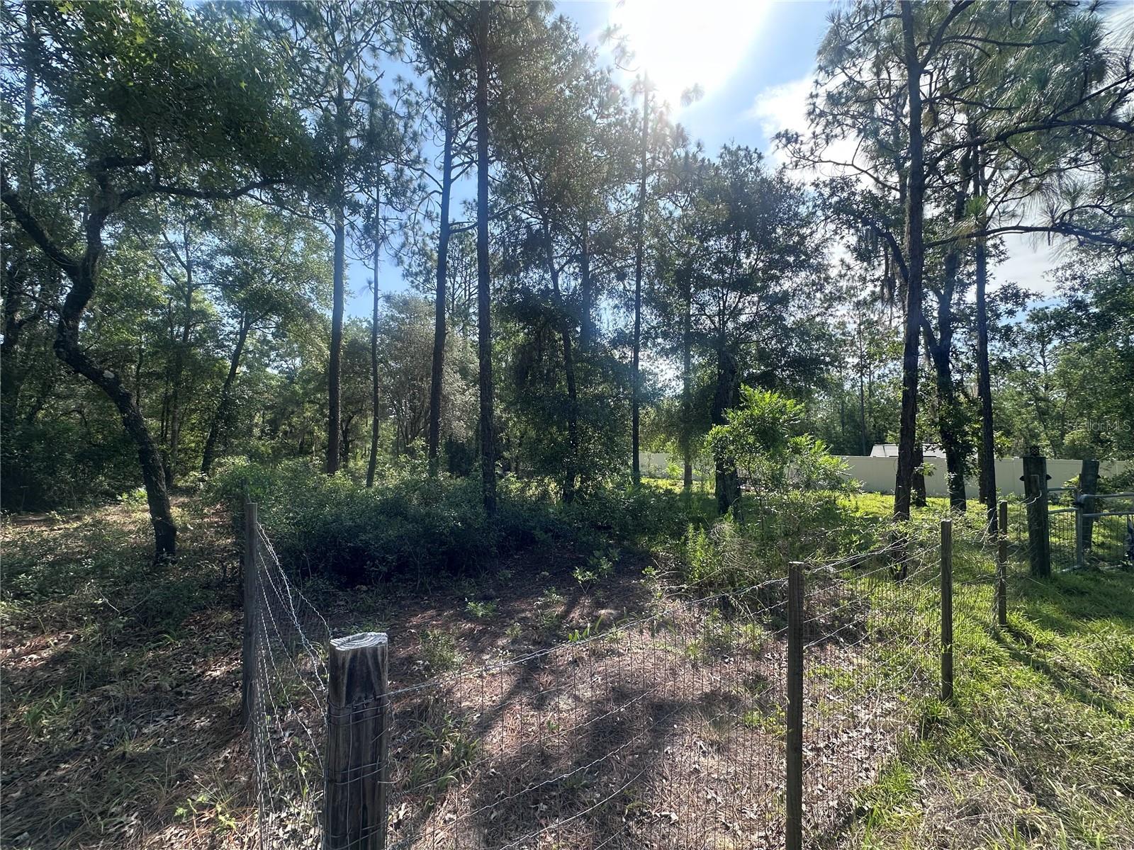 WILLISTON HYLNDS GOLF & C CLUB ESTATE - Land