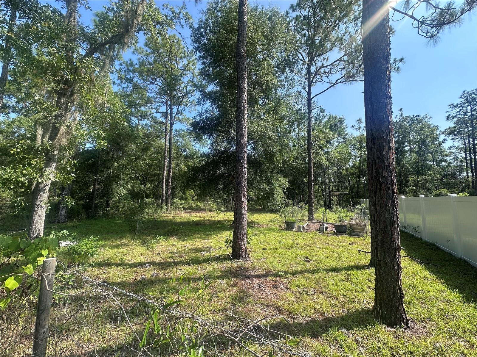 WILLISTON HYLNDS GOLF & C CLUB ESTATE - Land