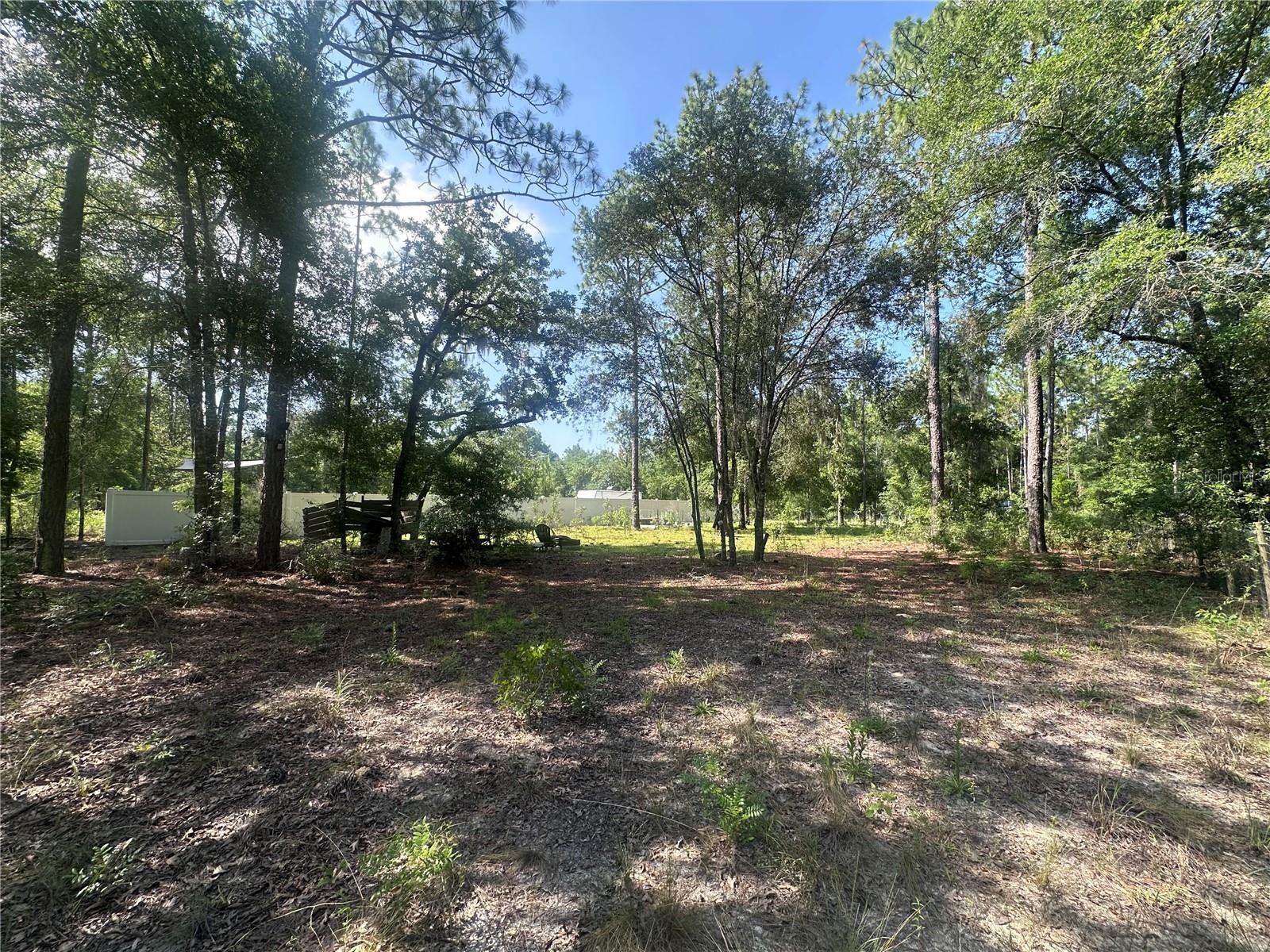 Discover the possibilities with this .23-acre vacant lot in Williston, Florida! With no restrictions on the type of home you can build, this property offers the flexibility to create the home of your dreams. Whether you're ready to build now or looking to secure a piece of land for the future, this property provides a great opportunity to make your vision a reality. Enjoy the freedom of owning your own piece of Florida and creating a space that is truly yours. Make this property your very own today!
