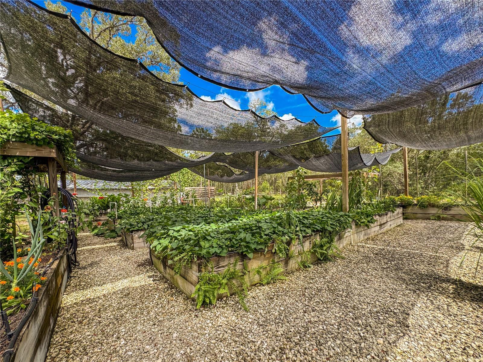 MINI FARMS NORTHWEST - Residential