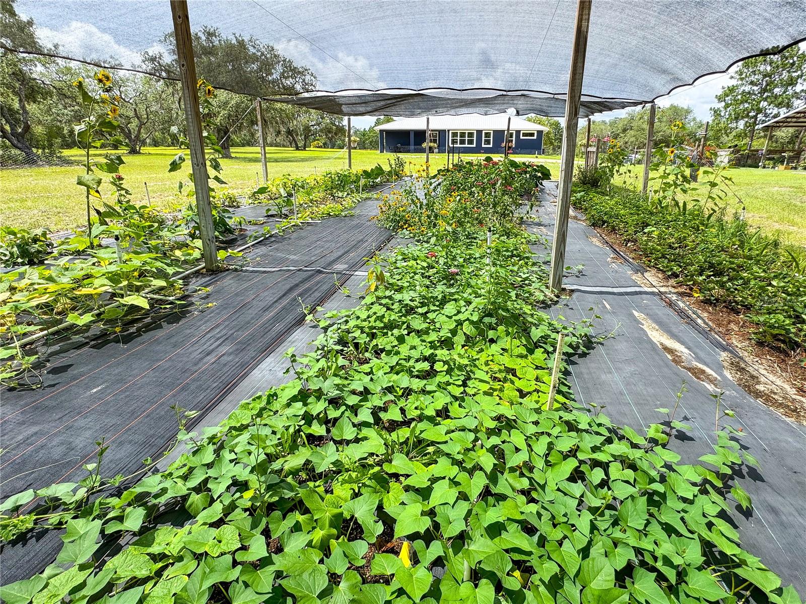 MINI FARMS NORTHWEST - Residential