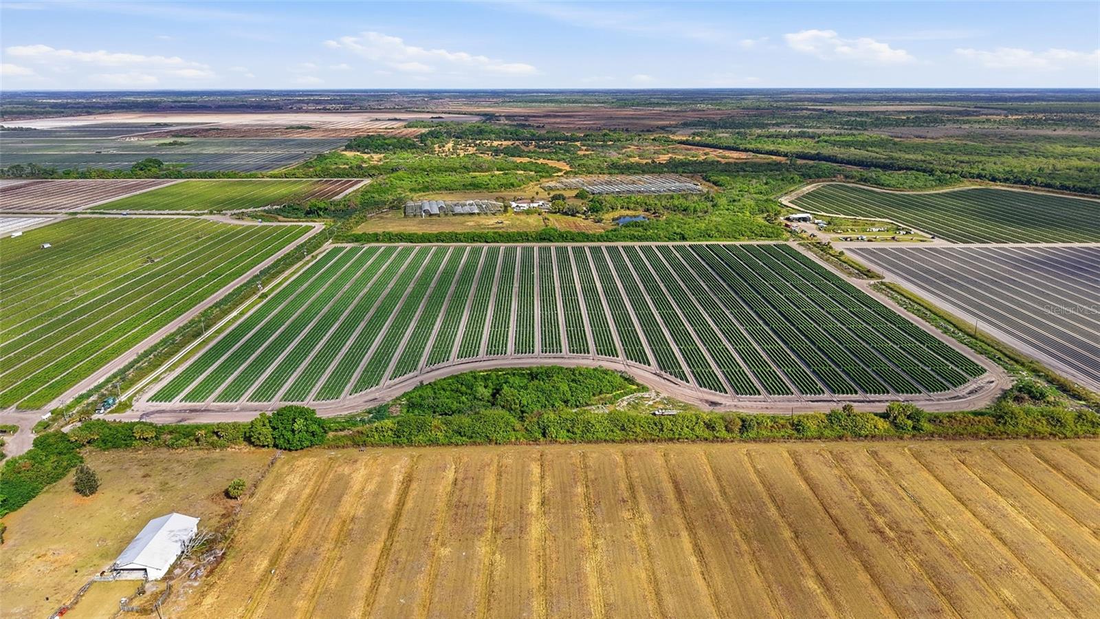 ACREAGE HEADER - Commercial Sale