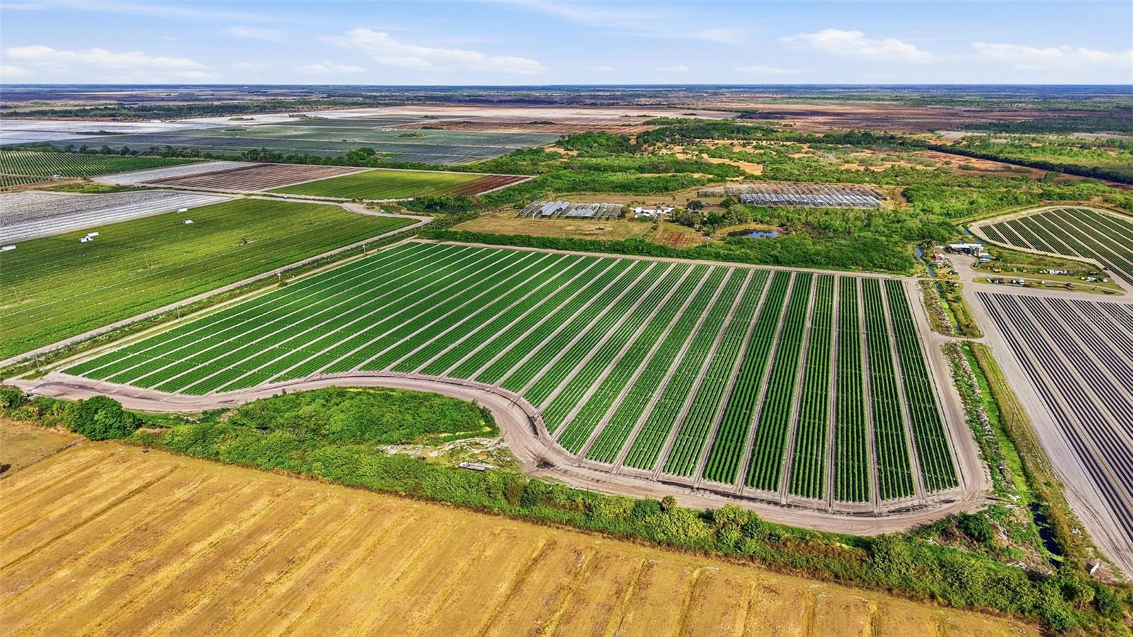 ACREAGE HEADER - Commercial Sale