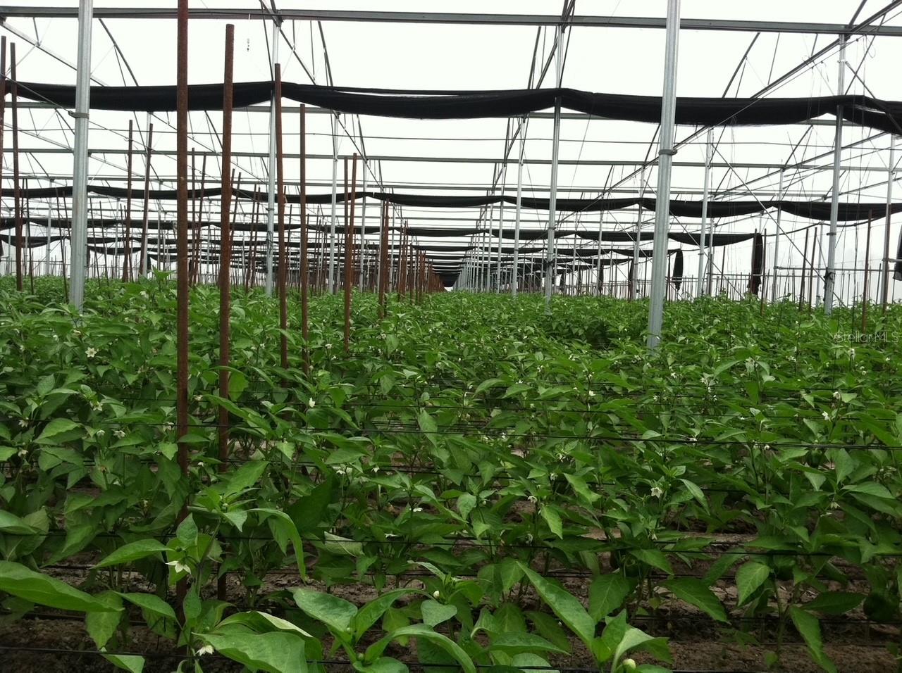ACREAGE HEADER - Commercial Sale