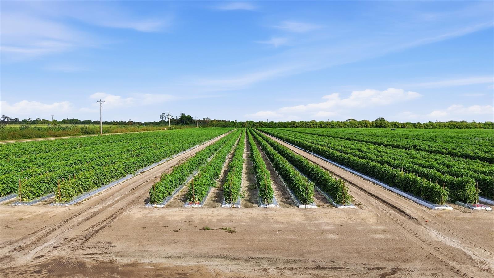 ACREAGE HEADER - Commercial Sale