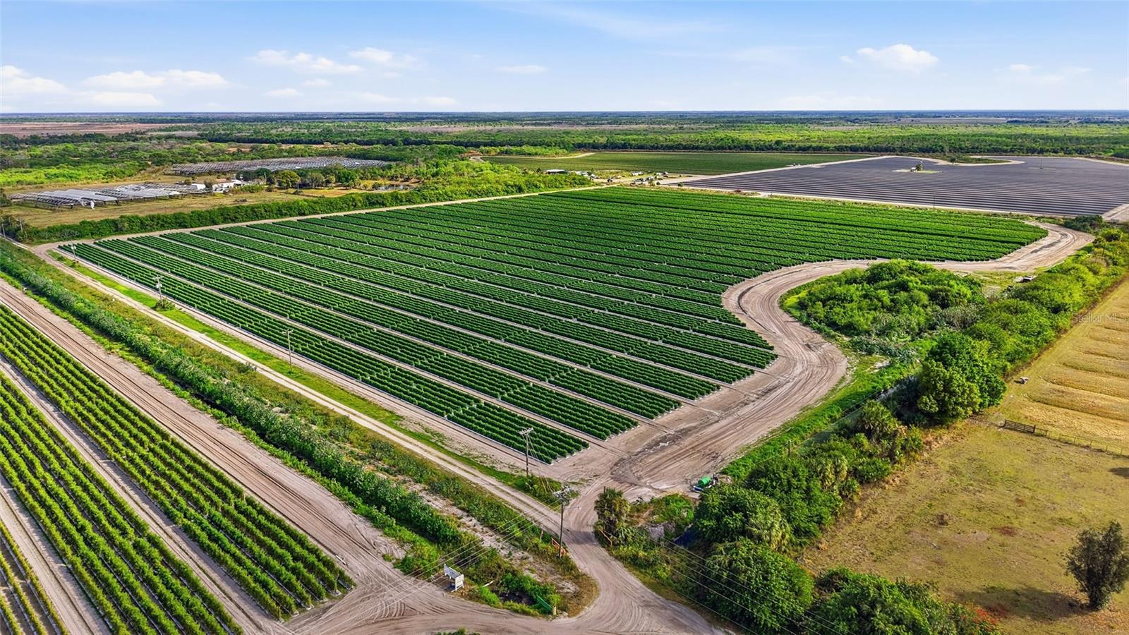 ACREAGE HEADER - Commercial Sale
