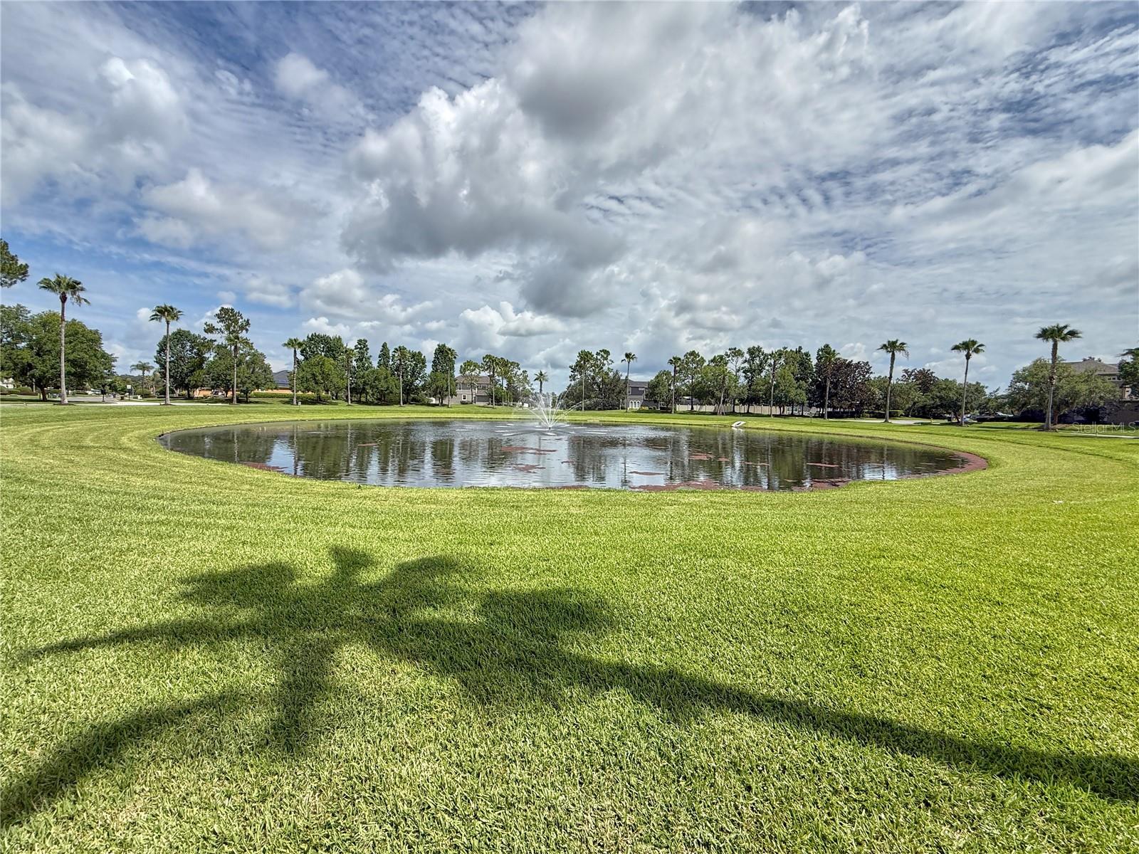 PRESERVE AT ASTOR FARMS PH 2 - Residential