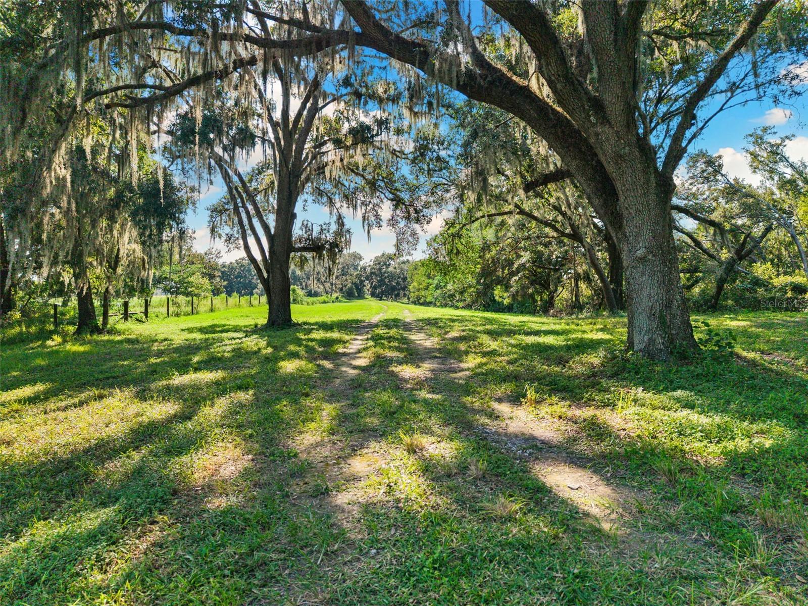 ACREAGE - Residential
